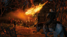 The Witcher 3: Wild Hunt screenshot 2