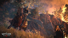 The Witcher 3: Expansion Pass screenshot 2