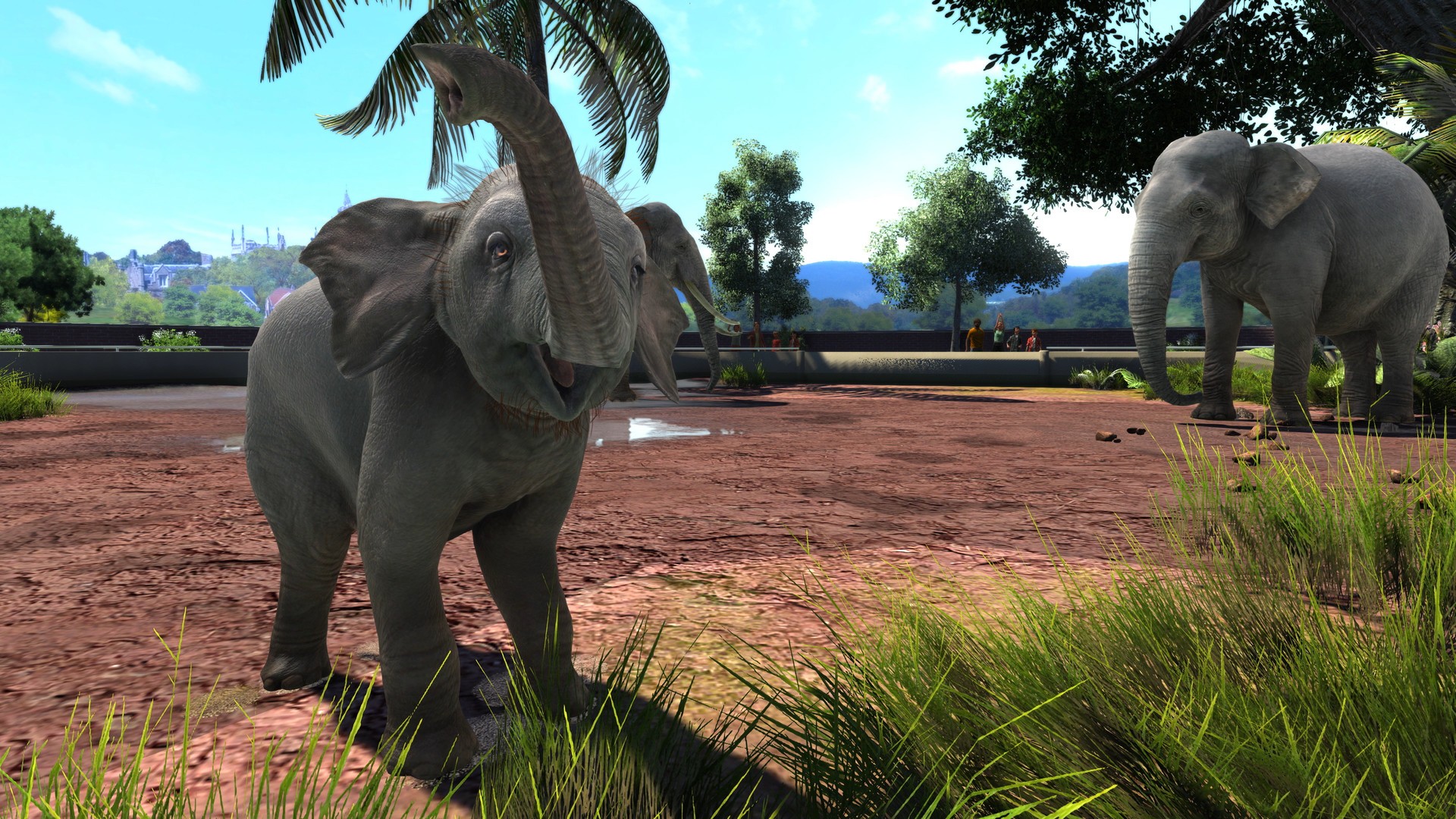 Comprar Zoo Tycoon Ultimate Animal Collection Xbox One