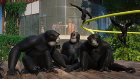 Planet Zoo: набор «Сохранение дикой природы» screenshot 5