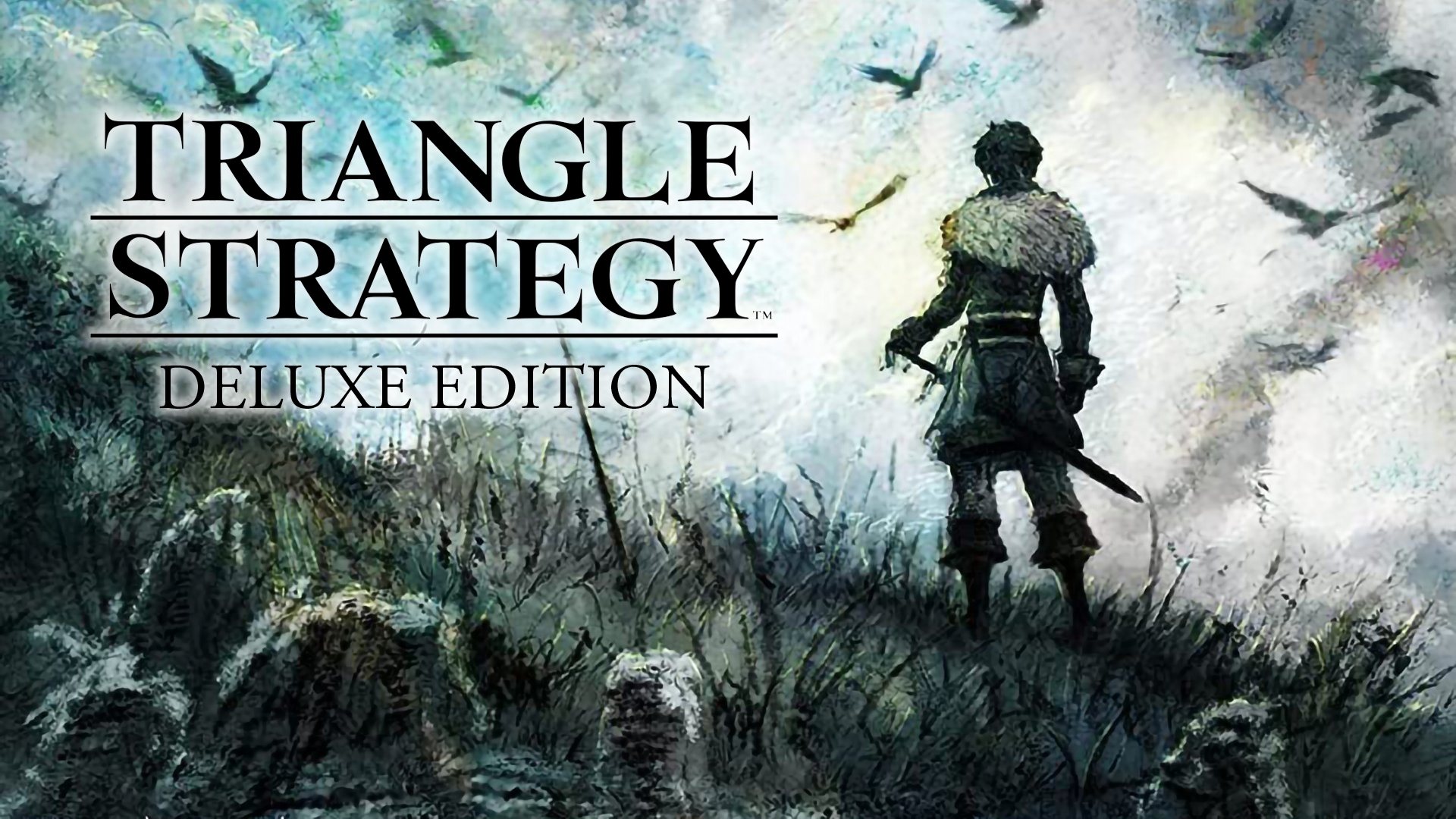  Nintendo Switch: Project Triangle Strategy (European Version) :  Video Games