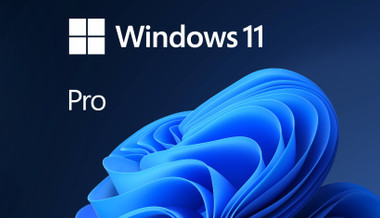 Windows 11 Pro - Gioco completo per PC
