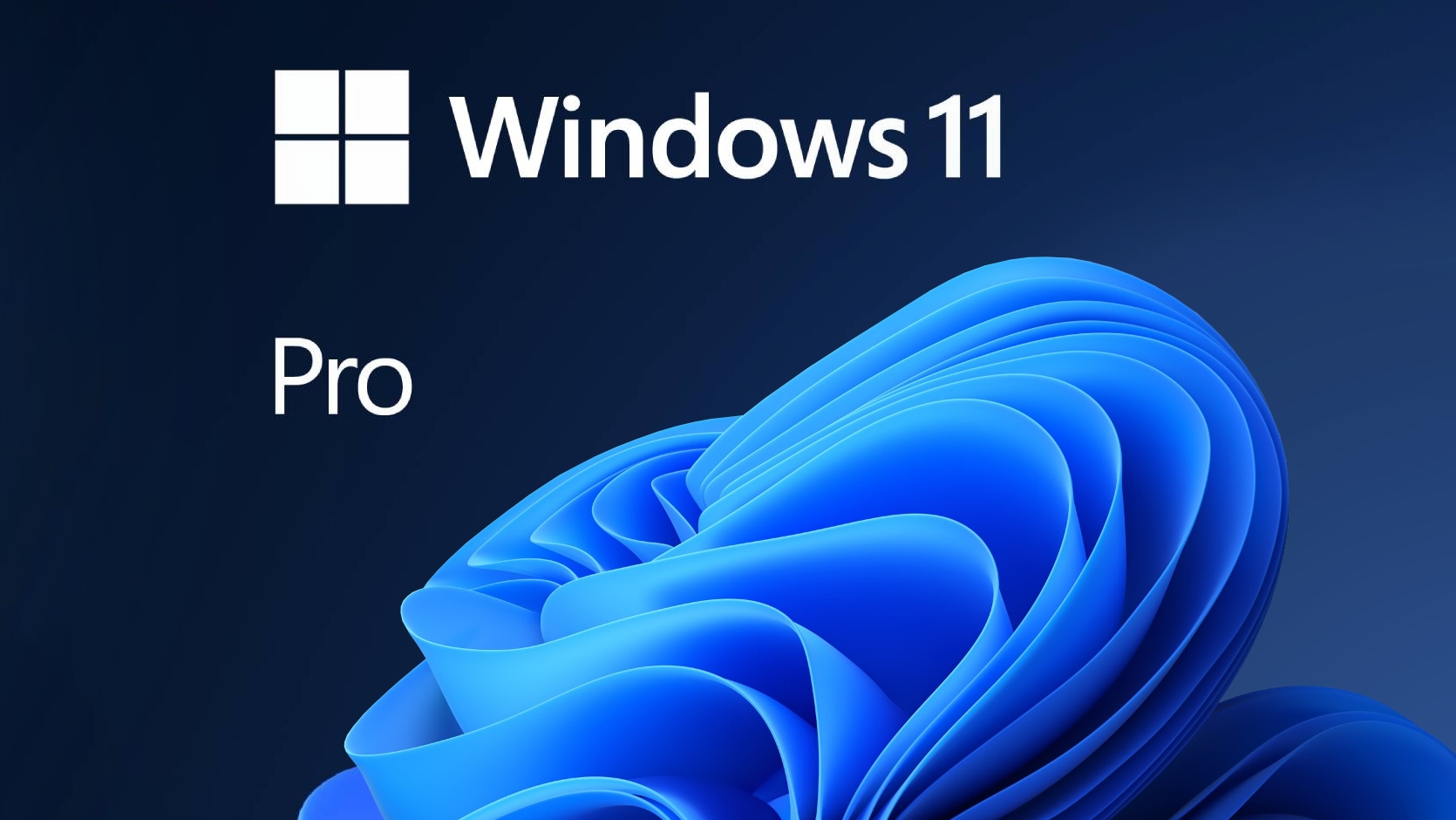 Kaufe Windows 11 Pro PC (Microsoft Store)