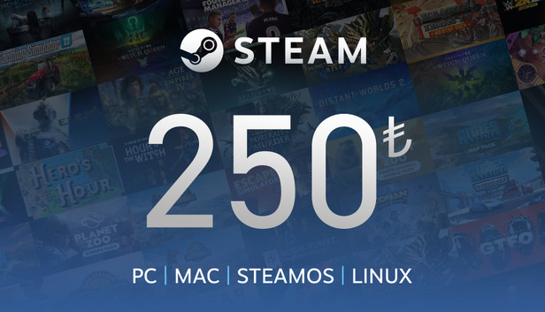Steam Gift Card 250 TRY
