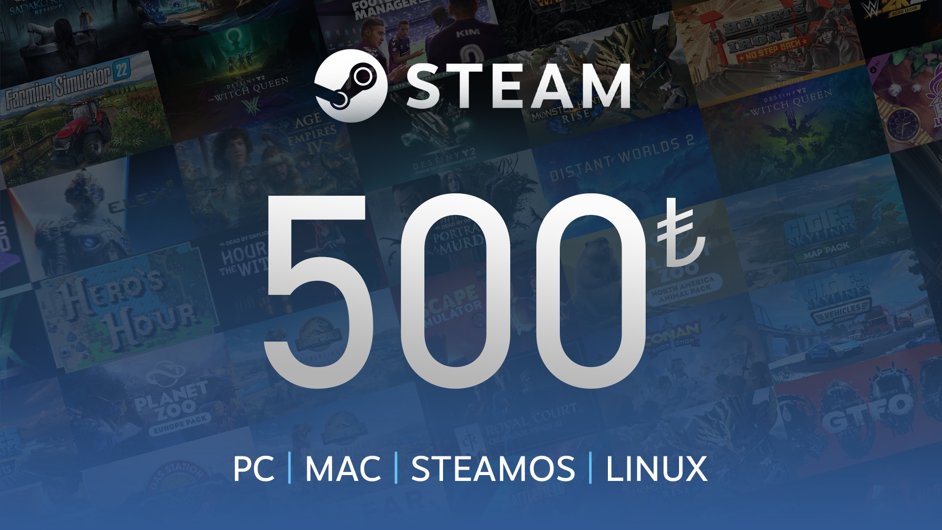 Buy Steam Gift Card 500 TRY Steam