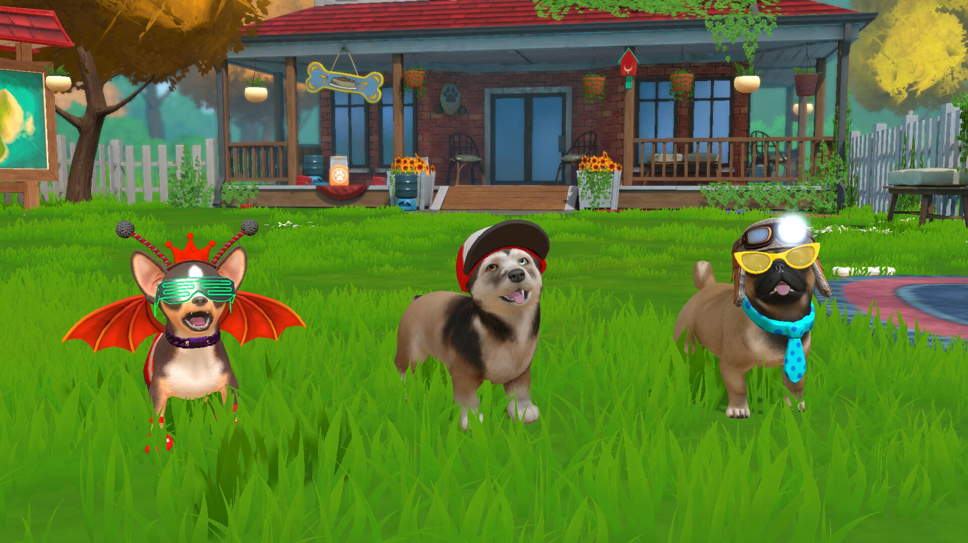 Buy Little Friends: Puppy Steam Island