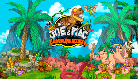 New Joe & Mac - Caveman Ninja