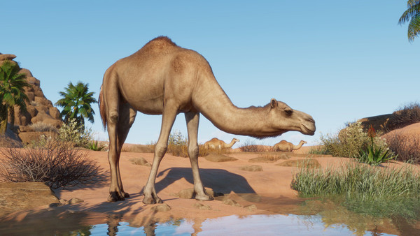 Planet Zoo: Arid Animal Pack screenshot 1