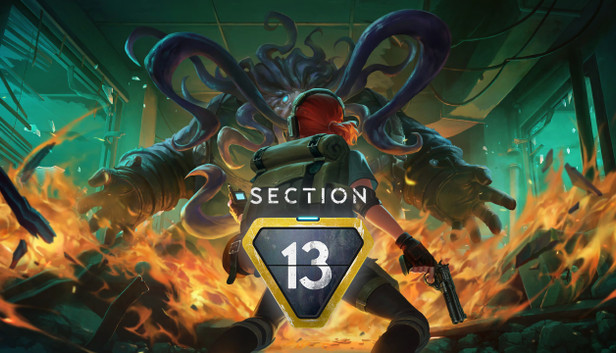 Section 13
