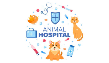 Animal Hospital