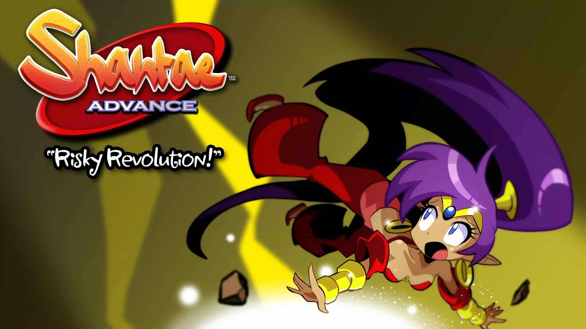 Buy Shantae Advance: Risky Revolution Other