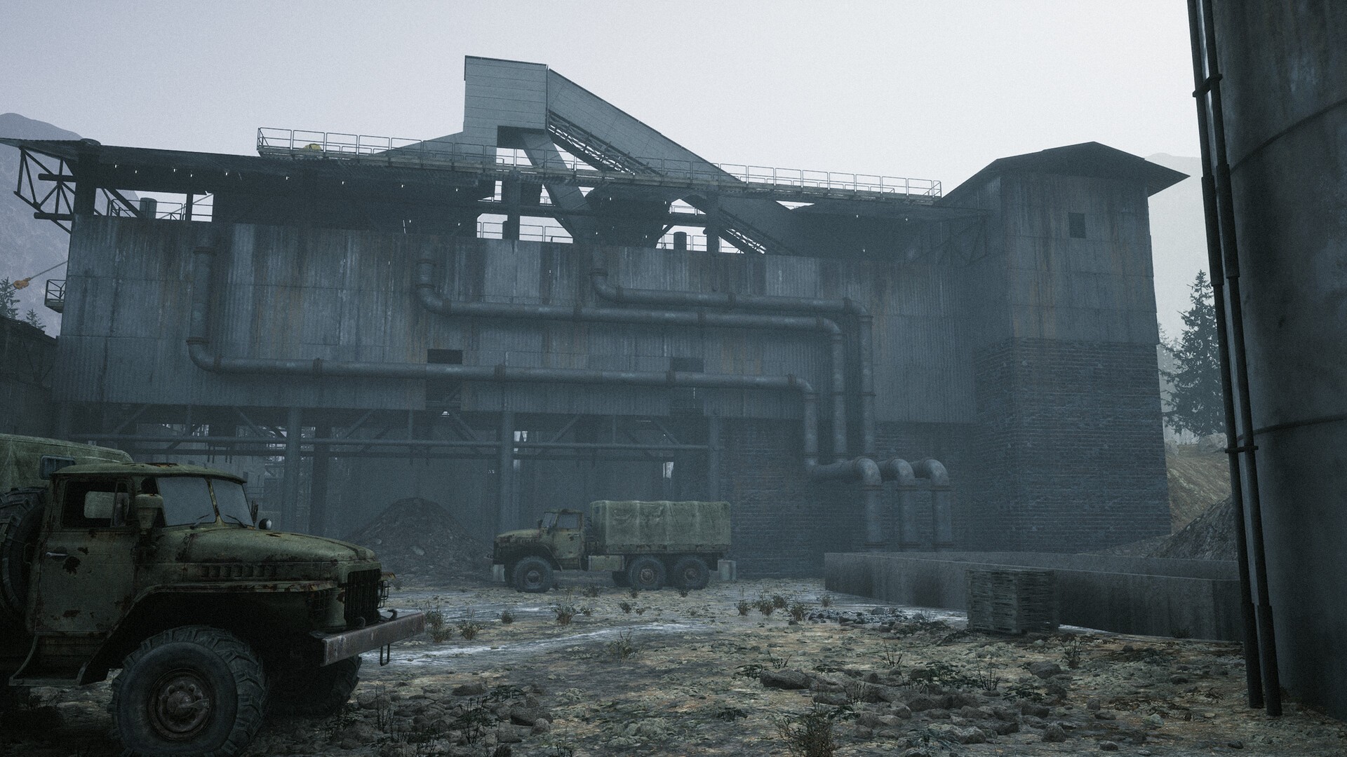 Buy Beautiful Light Steam