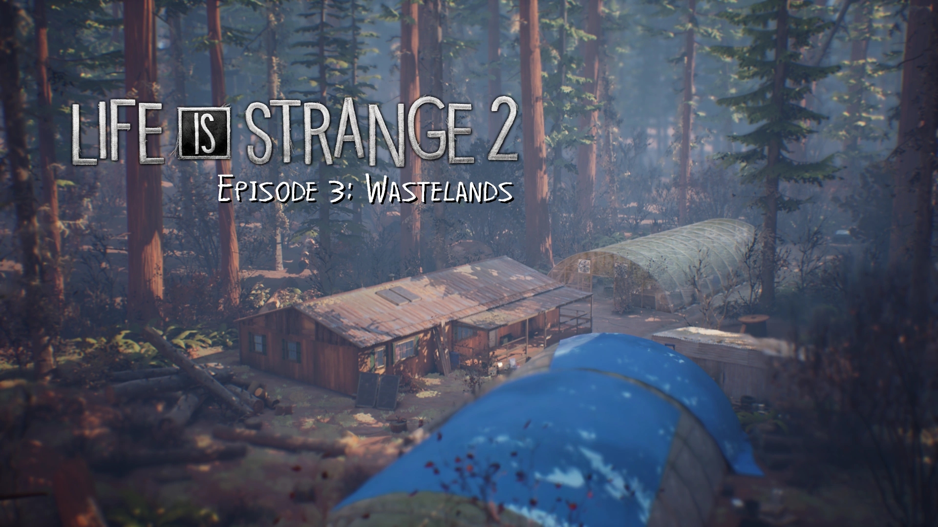 Купить Life is Strange 2 - Episode 3 Steam