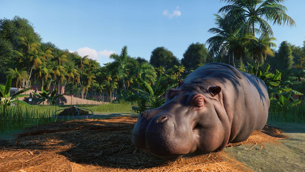 Planet Zoo: Edición para consola Xbox Series X|S screenshot 1