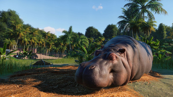 Planet Zoo : Édition Console Xbox Series X|S screenshot 1