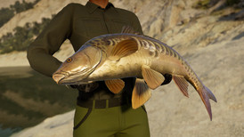 Call of the Wild: The Angler – Spain Reserve screenshot 4
