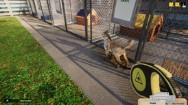 Animal Shelter screenshot 5