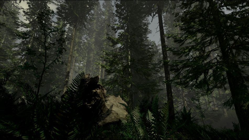 forest playstation 4 forest playstation 4