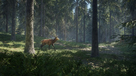 TheHunter: Call of the Wild screenshot 5