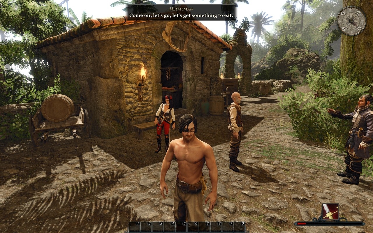 Der Risen Buy Risen 2: Dark Waters Steam