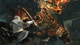 Dark Souls II Crown of the Old Iron King screenshot 4