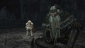 Dark Souls II Crown of the Old Iron King screenshot 2