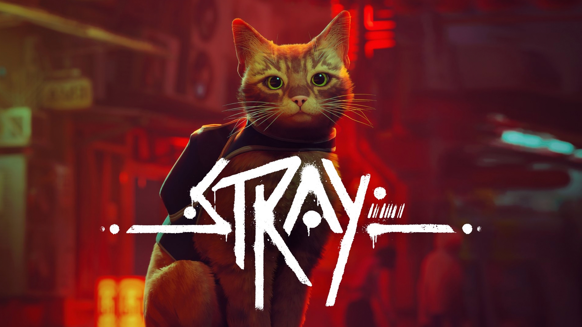 Игра Stray На Playstation 4 Купить