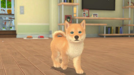 My Universe - Puppies & Kittens screenshot 2