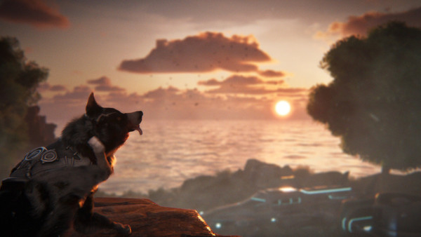 Barkour screenshot 1