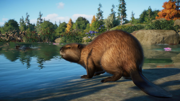 Planet Zoo: North America Animal Pack screenshot 1