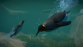 Planet Zoo: Akvatisk pakke screenshot 3