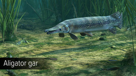Ultimate Fishing Simulator - Amazon River DLC screenshot 5