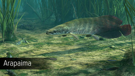 Ultimate Fishing Simulator - Amazon River DLC screenshot 2