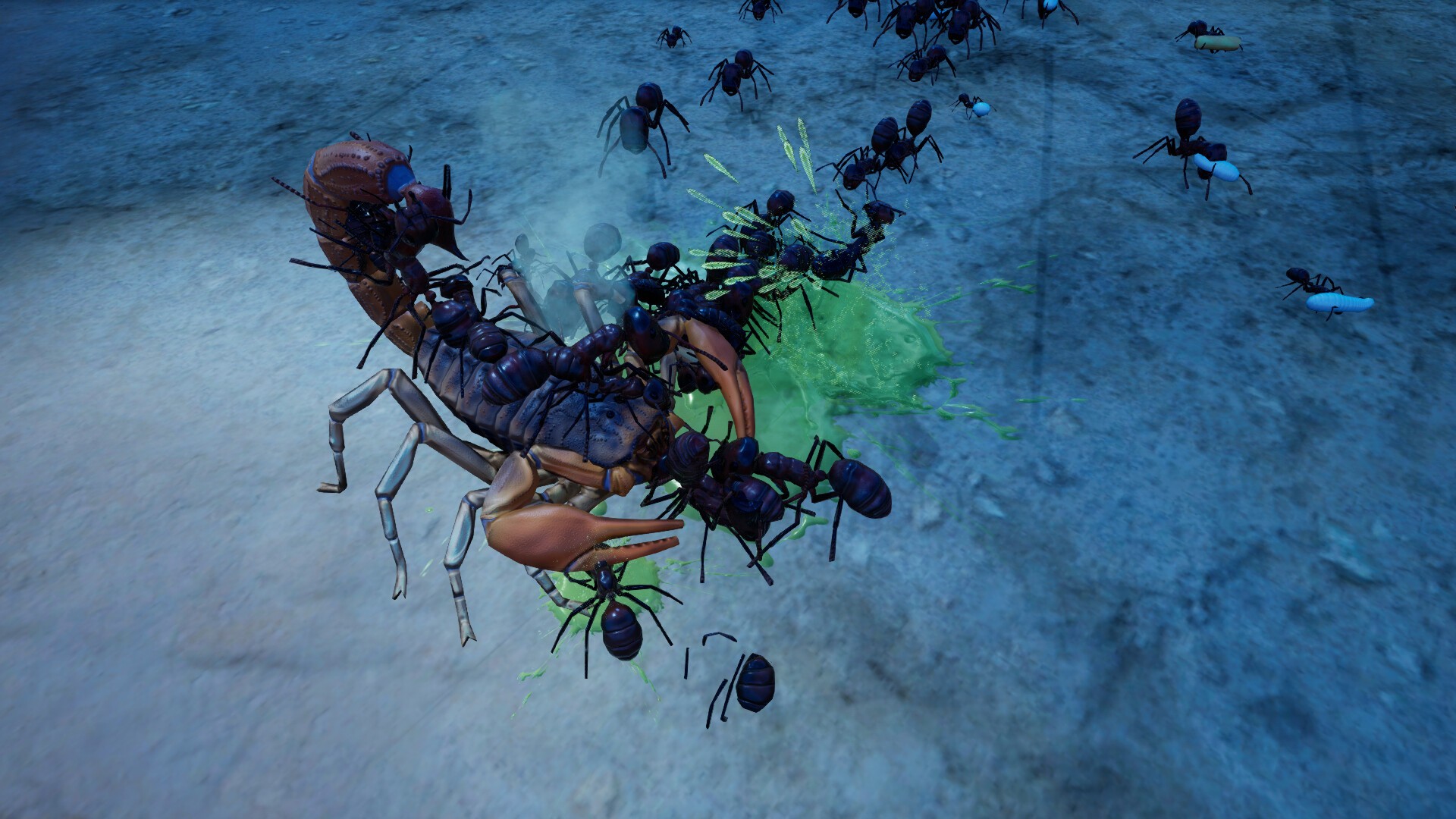 Acquista Empires of the Undergrowth - Exploding Ants - PC & Mac (Steam ...