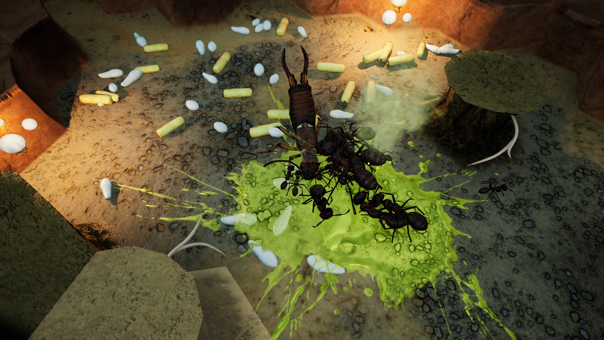 Buy Empires of the Undergrowth - Exploding Ants - PC & Mac (Steam)