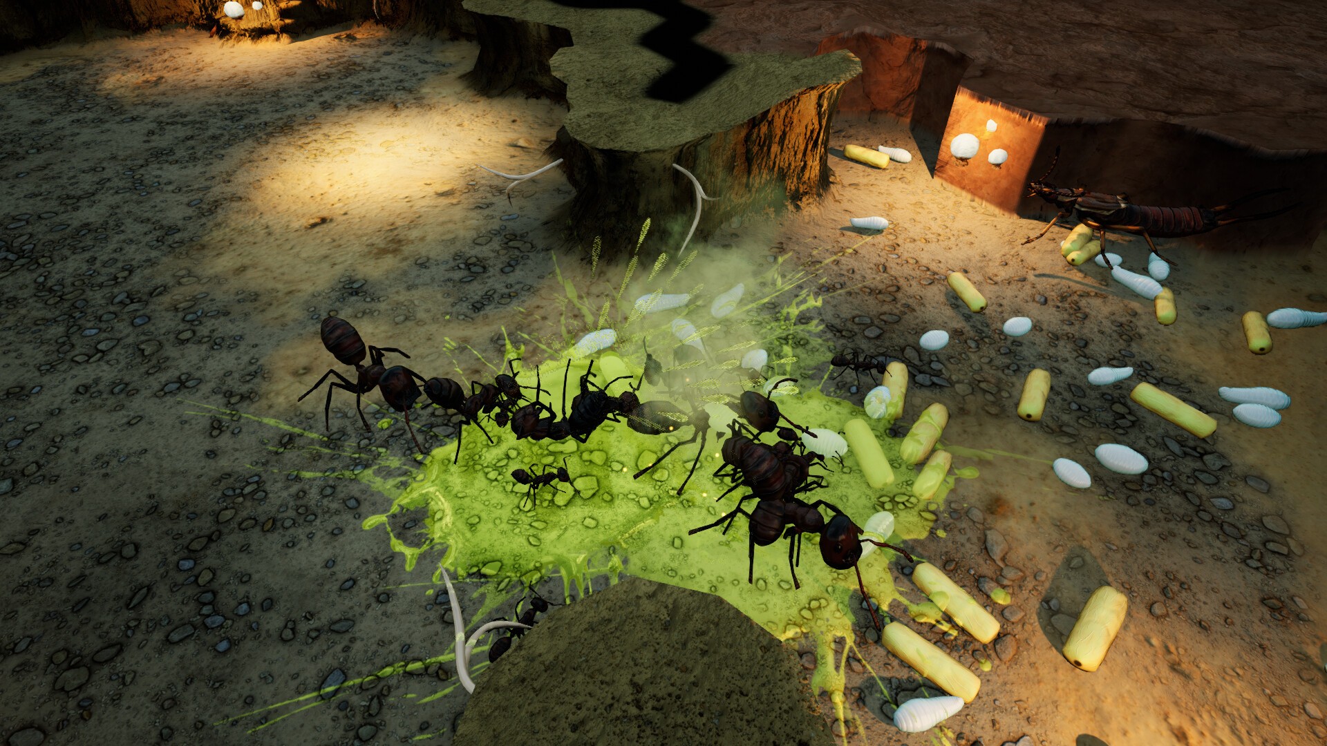 Kup Empires of the Undergrowth - Exploding Ants - PC & Mac (Steam)