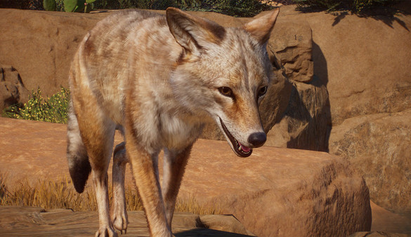 Planet Zoo: Americas Animal Pack screenshot 1