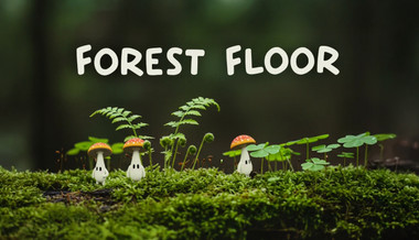 Forest Floor