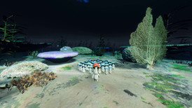 Forest Floor screenshot 5