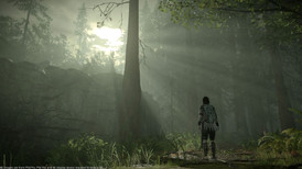 Shadow of the Colossus screenshot 2