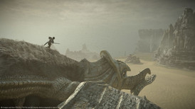 Shadow of the Colossus screenshot 4