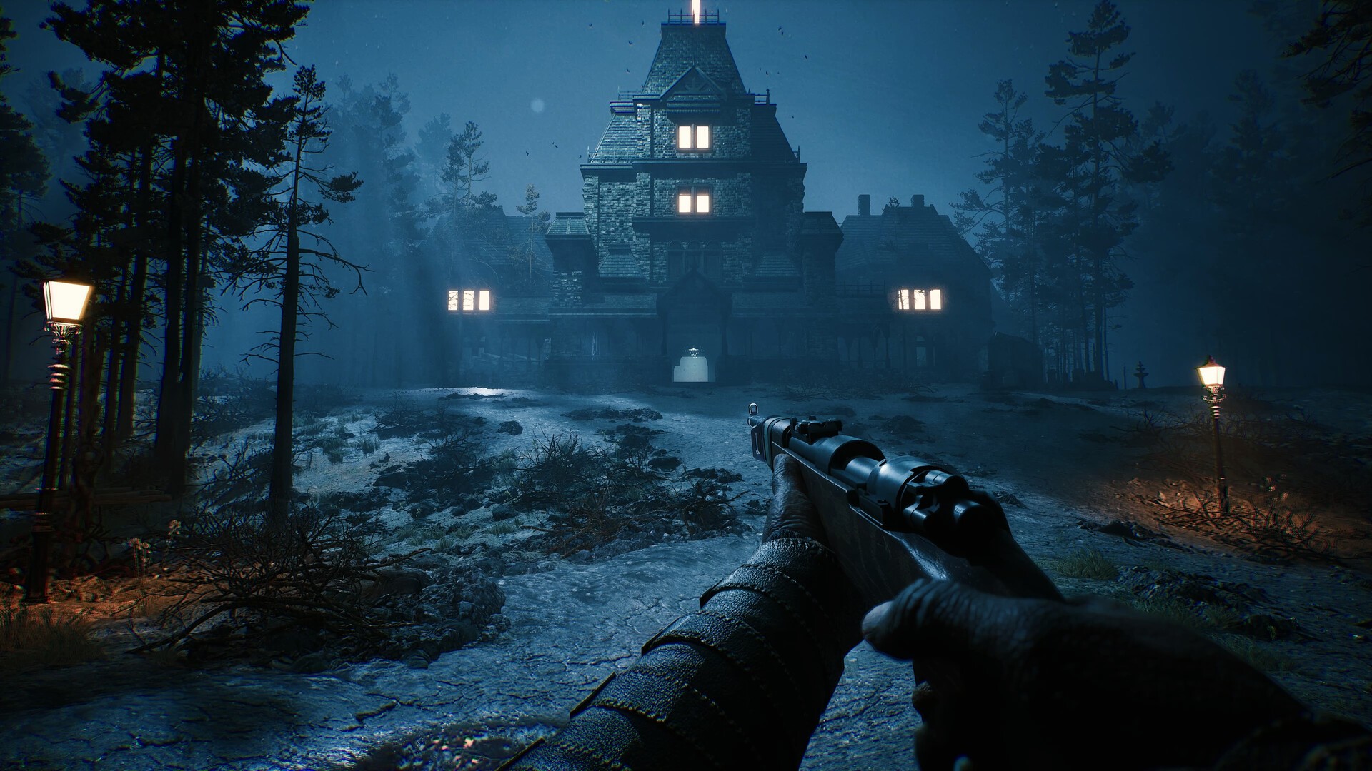 Buy The Bornless - PC (Steam)