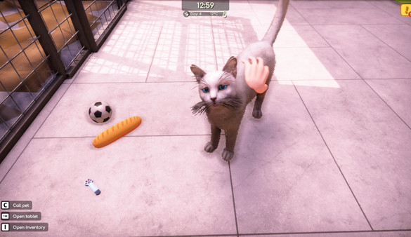 Animal Shelter 2 screenshot 1