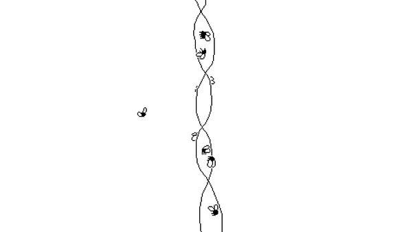 Time Flies screenshot 1