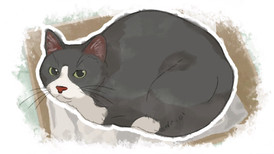 Dear me, I was ... screenshot 5