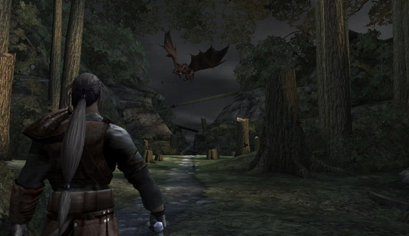 Forgotten Realms: Demon Stone screenshot 1