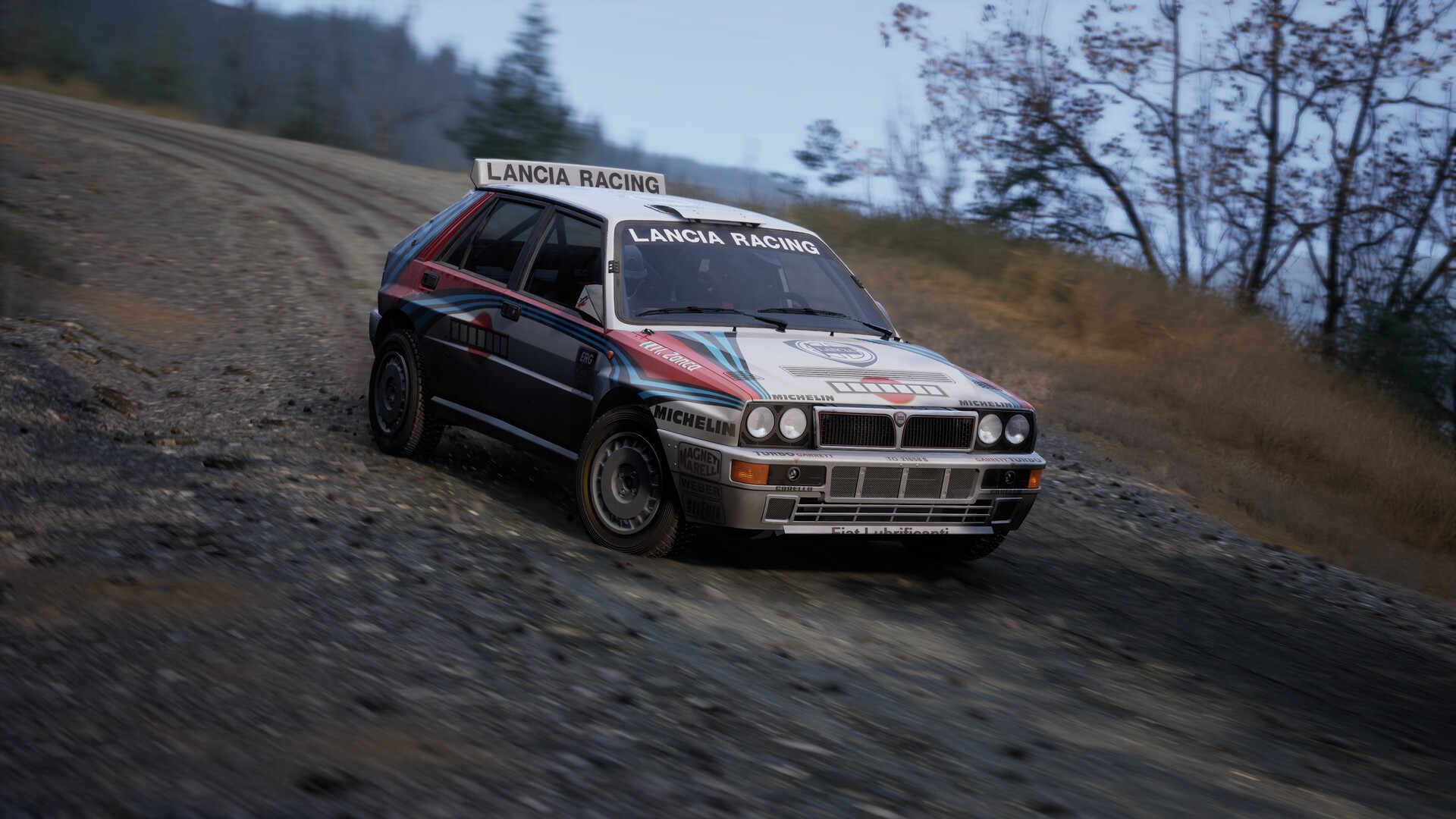 Ac Rally Buy Assetto Corsa Rally - PC (Steam) - Europe & USA & Canada
