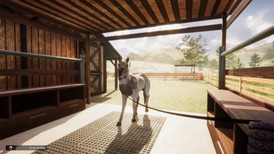 Animal Shelter - Horse Shelter screenshot 3