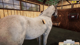 Animal Shelter - Horse Shelter screenshot 5