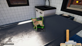 Animal Shelter - Puppies & Kittens screenshot 3